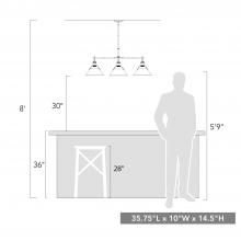 3306-LP CH-DB_scale.jpg